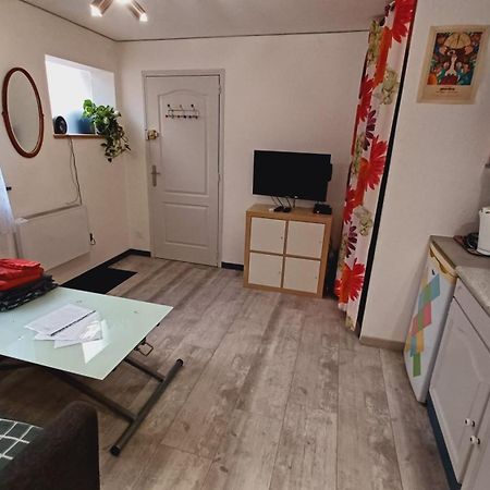 Studio Cosy Tout Confort Gaillac Centre. Esterno foto
